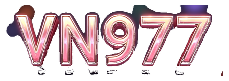 vn977 logo